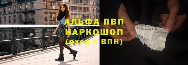 сатива Каменск-Шахтинский