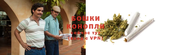 прущая мука Иннополис