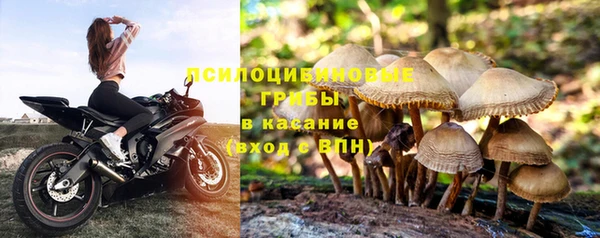 сатива Каменск-Шахтинский
