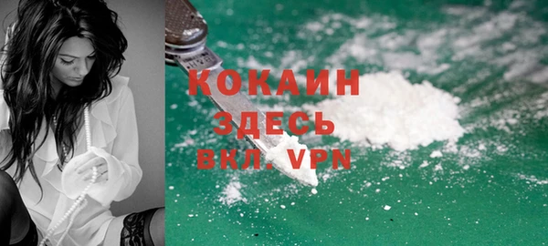 mdpv Каменногорск
